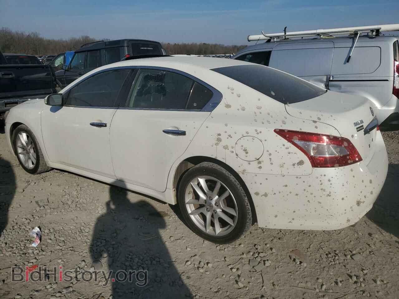 2009 NISSAN MAXIMA - VIN: 1N4AA51E09C815955 - Photo 2