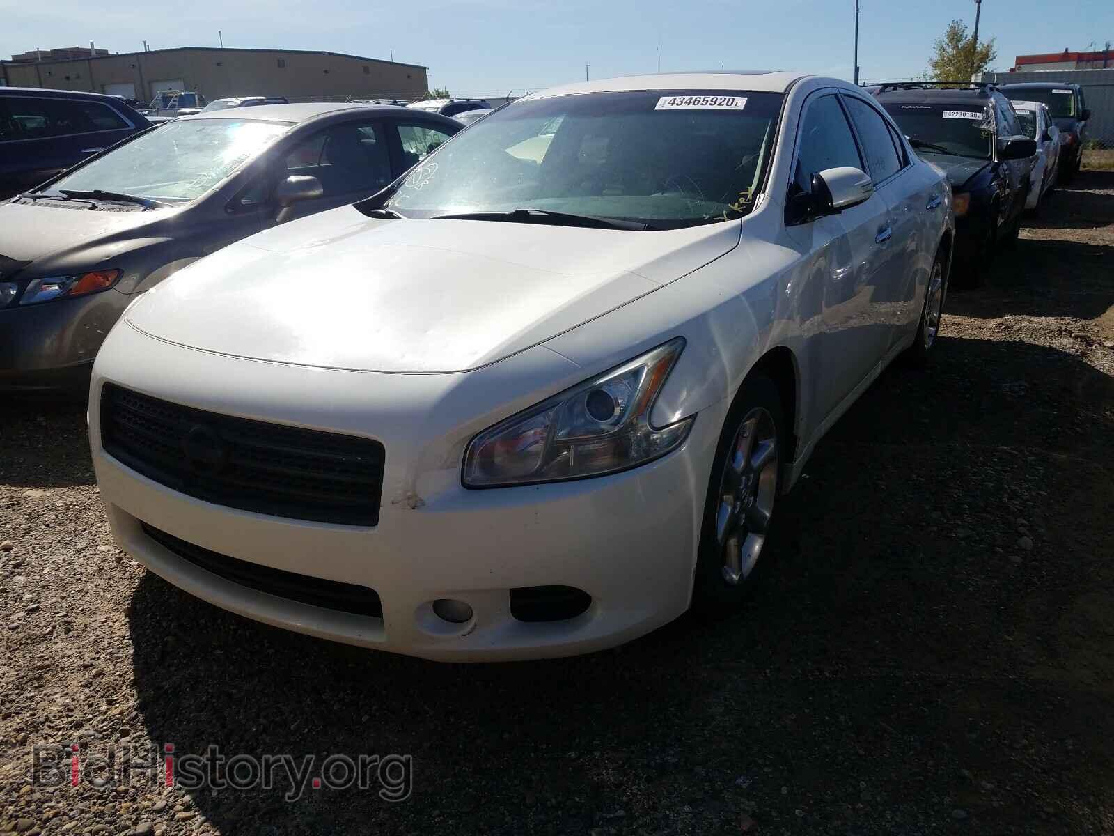 2009 NISSAN MAXIMA - VIN: 1N4AA51EX9C856271 - Фото 2