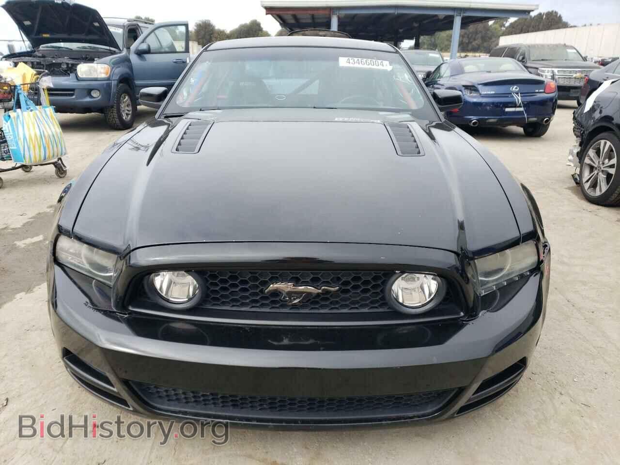 2013 FORD MUSTANG - VIN: 1ZVBP8CF1D5213645 - Фото 5