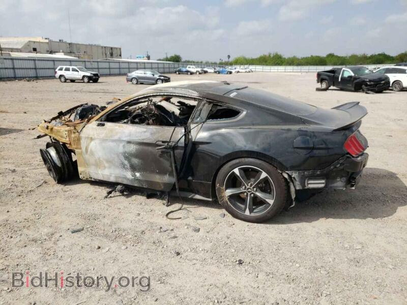 2019 Ford ALL MODELS (VIN 1FA6P8TH2K5111974) — фото 2 из 12