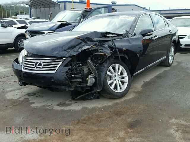 2010 LEXUS ES350 - VIN: JTHBK1EGXA2360623 - Фото 2