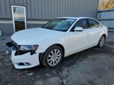 2011 Audi A4 Premium Plus, белый — VIN WAUFFAFL3BN035313, Copart