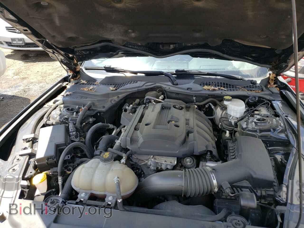 2019 FORD MUSTANG - VIN: 1FA6P8TH4K5105478 - Фото 7