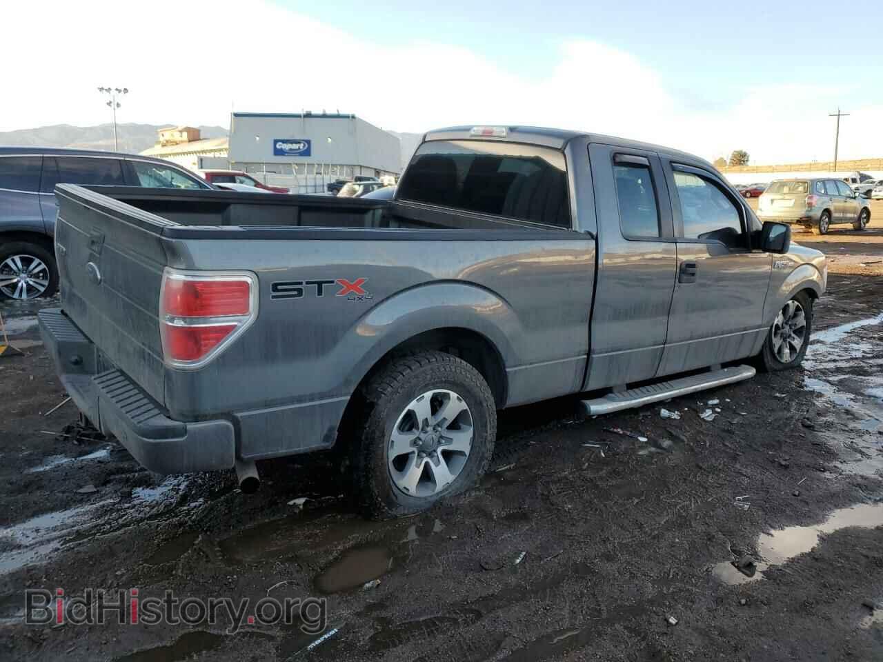 2013 FORD F-150 - VIN: 1FTFX1EF0DFE05917 - Фото 3