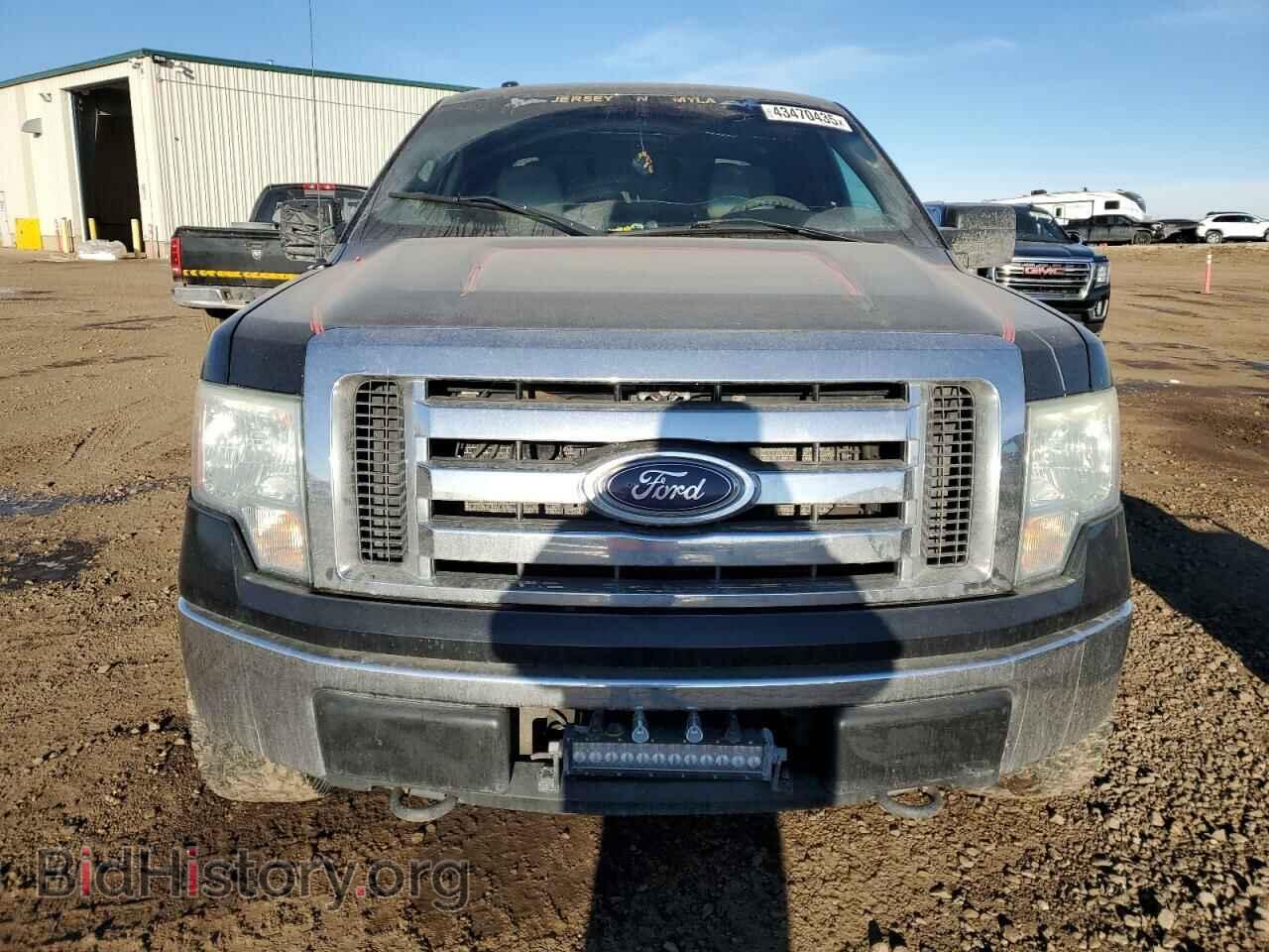 2010 FORD F-150 - VIN: 1FTFW1EV1AFB51981 - Фото 5