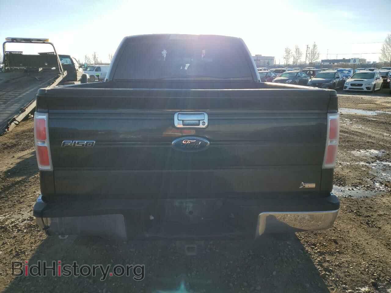 2010 FORD F-150 - VIN: 1FTFW1EV1AFB51981 - Фото 6