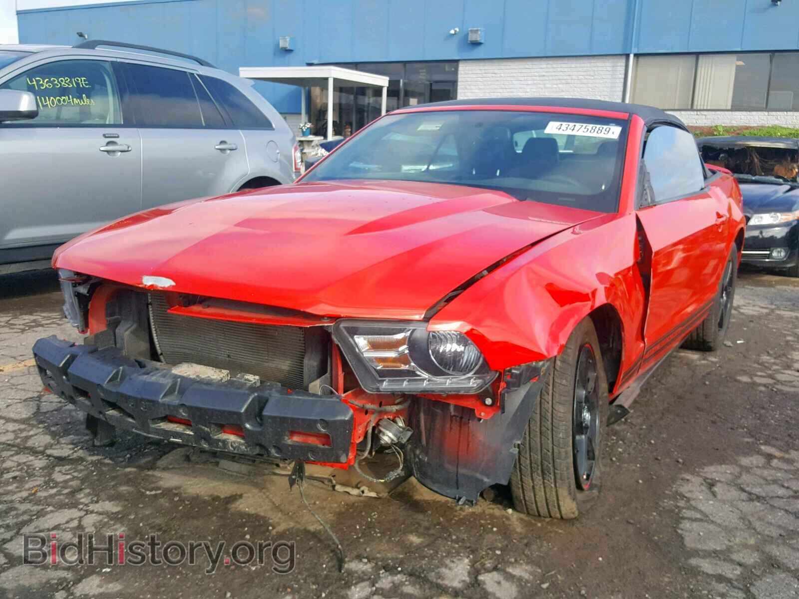 2011 FORD MUSTANG - VIN: 1ZVBP8EM5B5108986 - Фото 2