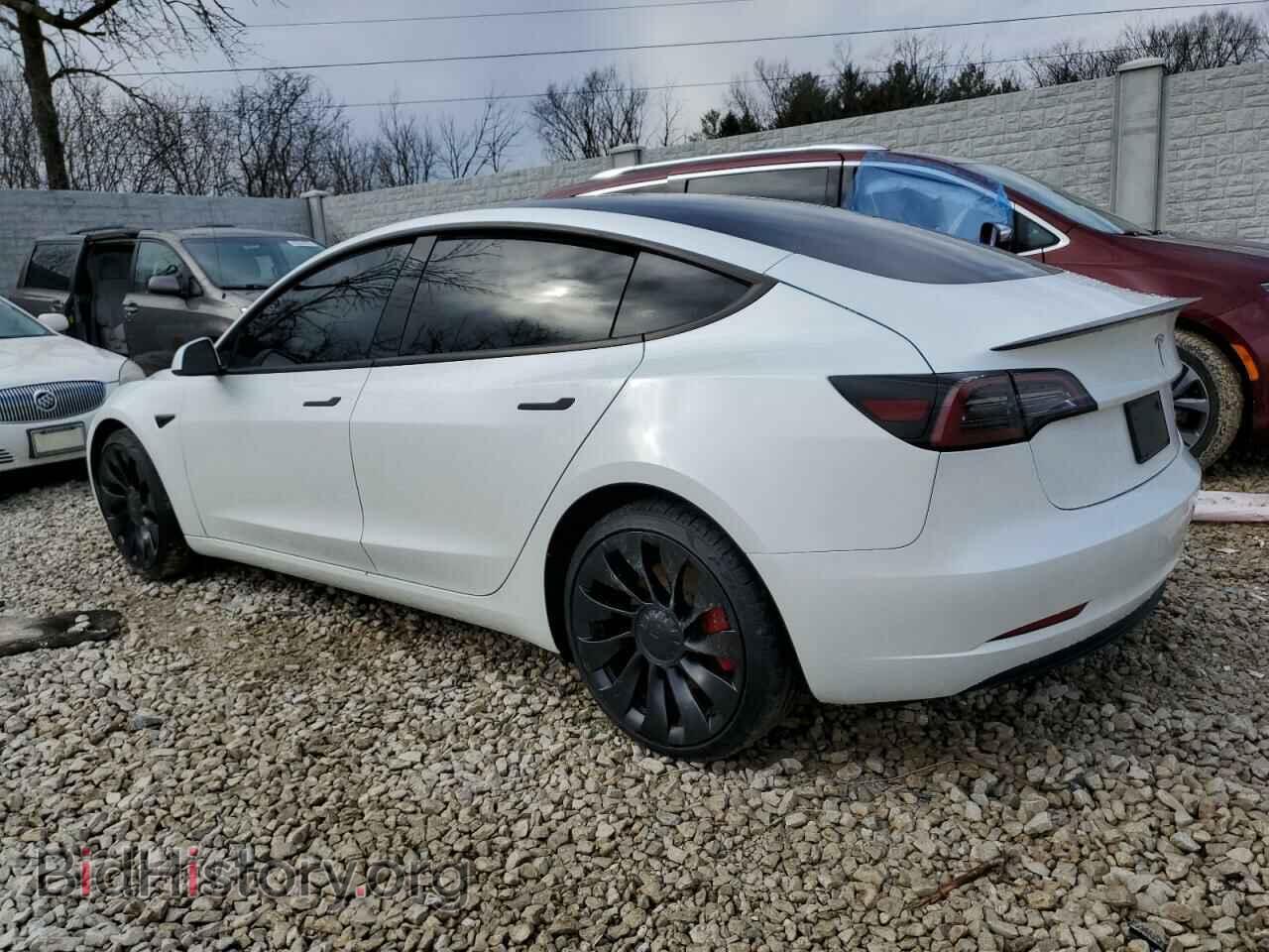 2023 TESLA MODEL 3 - VIN: 5YJ3E1EC9PF411996 - Photo 2