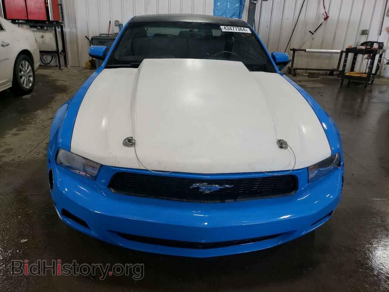 2011 FORD MUSTANG - VIN: 1ZVBP8CF3B5164185 - Фото 5