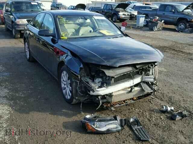 Фотография WAUBFAFL7CN015050 - AUDI A4 2012
