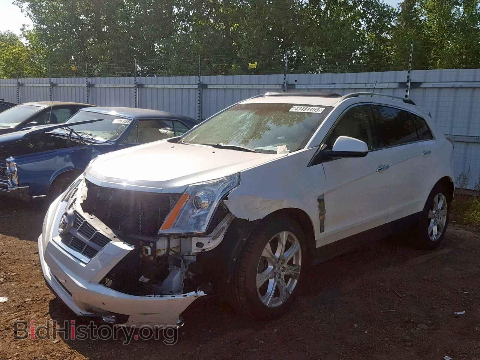 2010 CADILLAC SRX PERFOR - VIN: 3GYFNEEY5AS606342 - Фото 2