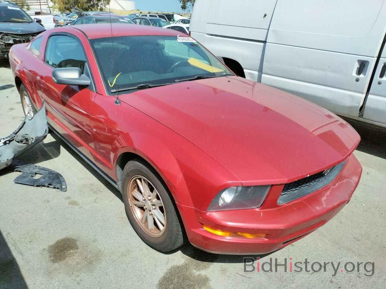 Photo 1ZVHT80N885158859 - FORD MUSTANG 2008