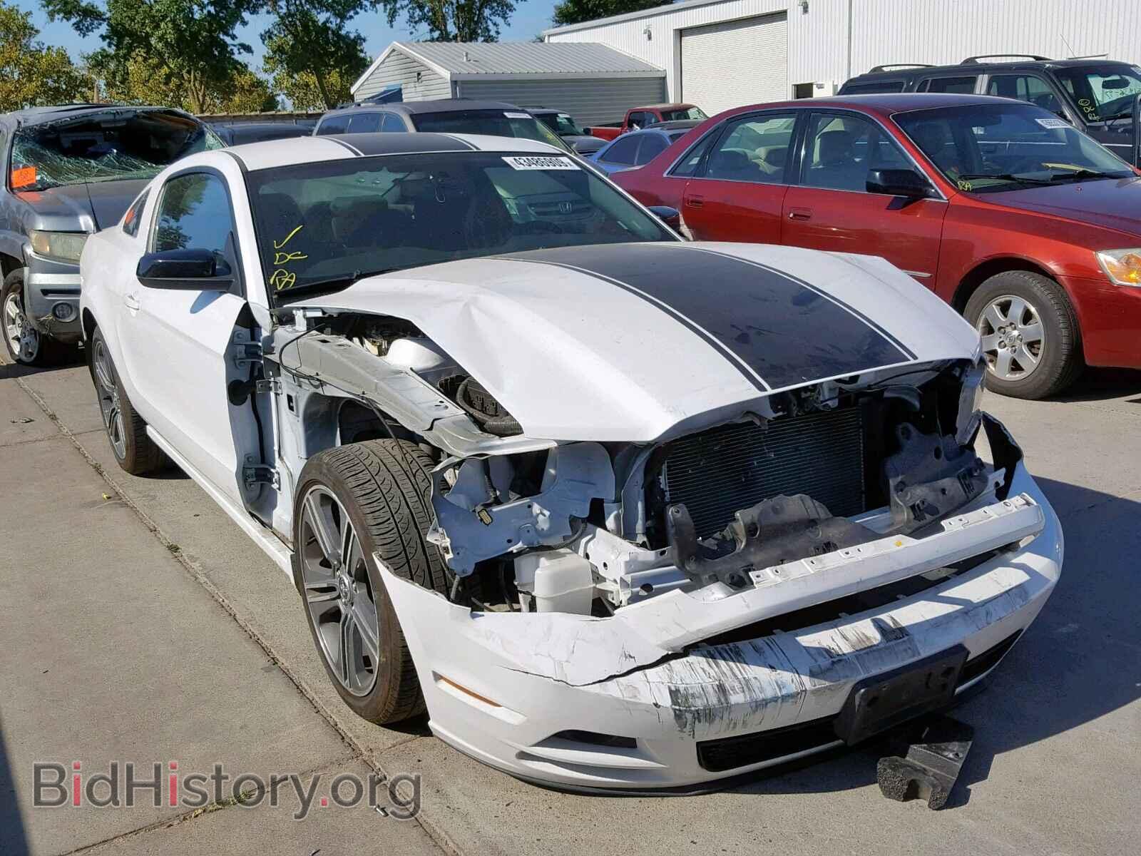 Фотография 1ZVBP8AM2E5306564 - FORD MUSTANG 2014