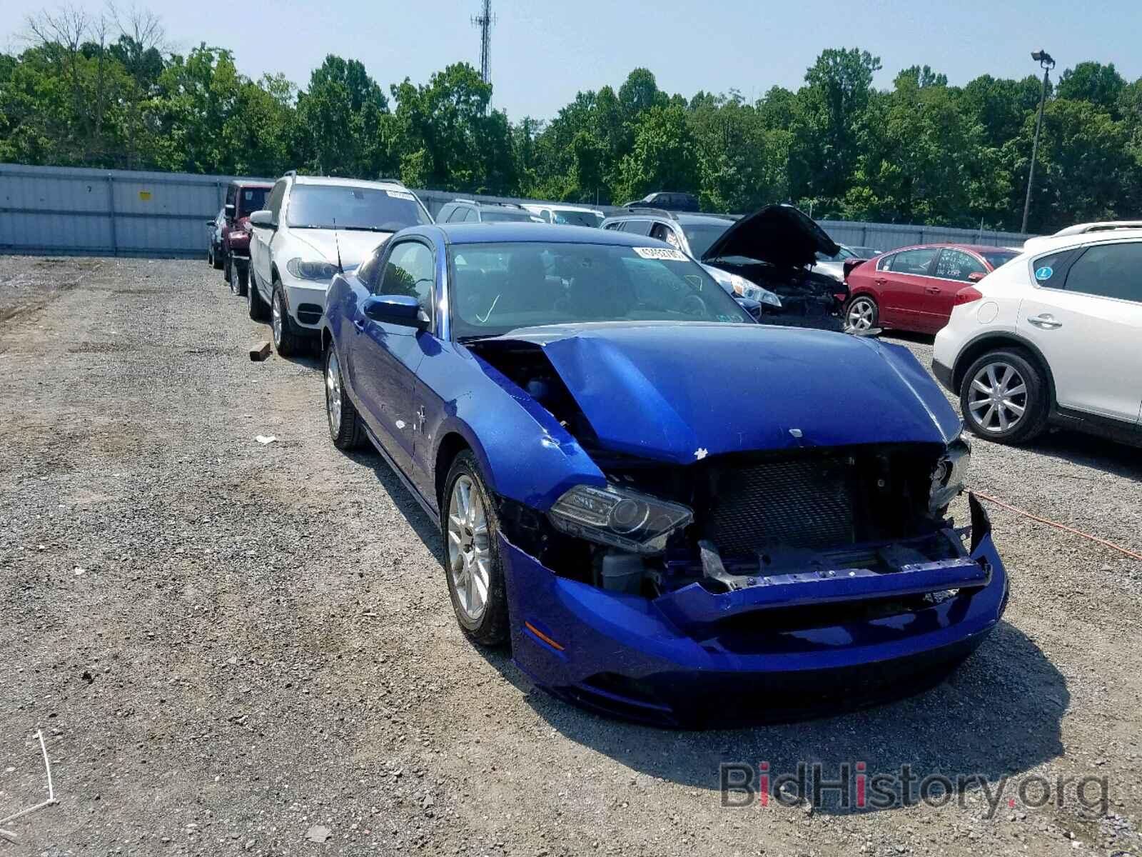 Photo 1ZVBP8AM5D5270397 - FORD MUSTANG 2013