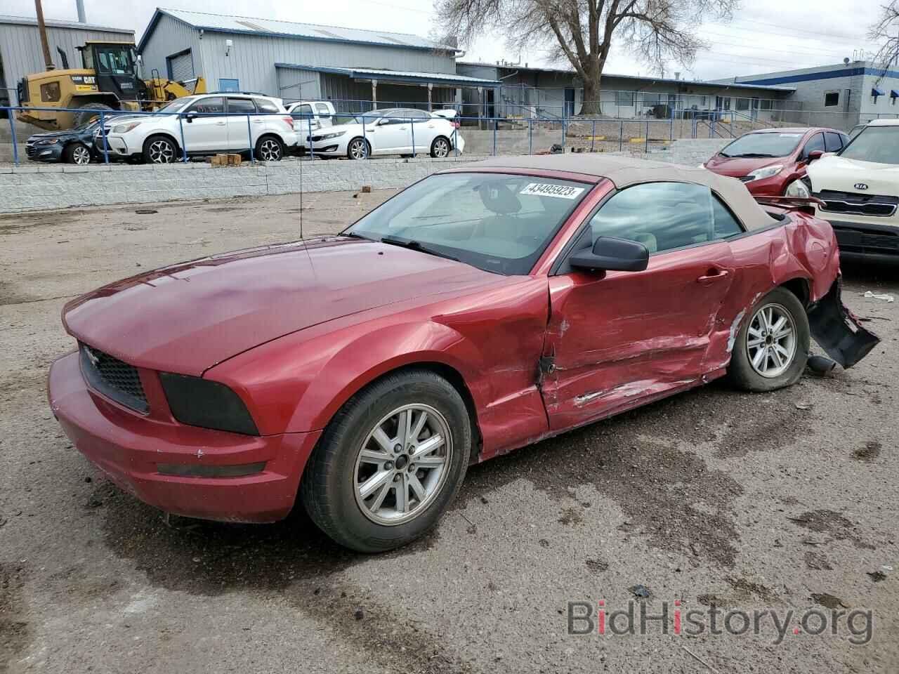 Photo 1ZVFT84N365105355 - FORD MUSTANG 2006