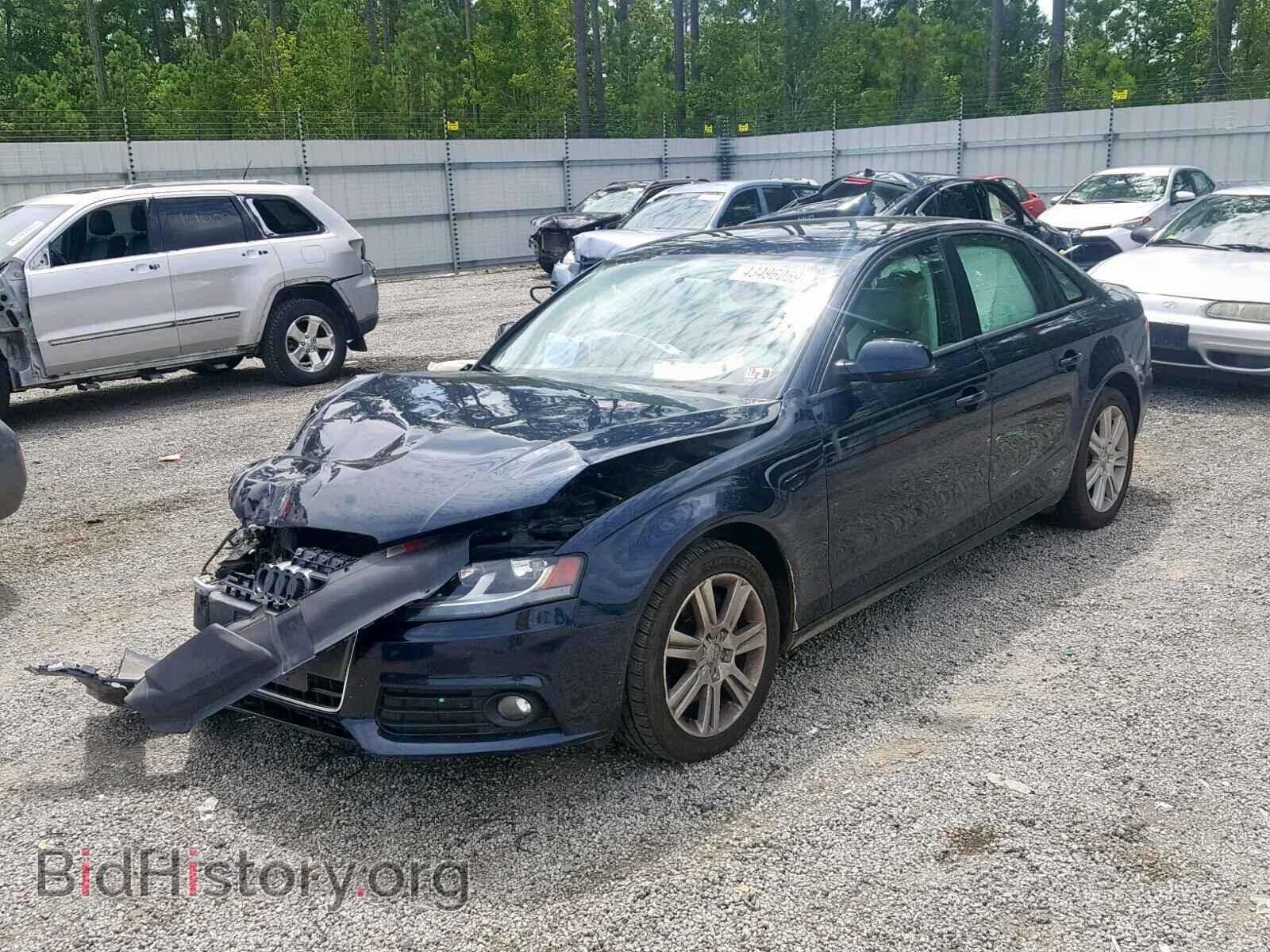 2010 AUDI A4 - VIN: WAUBFAFL9AN009733 - Фото 2