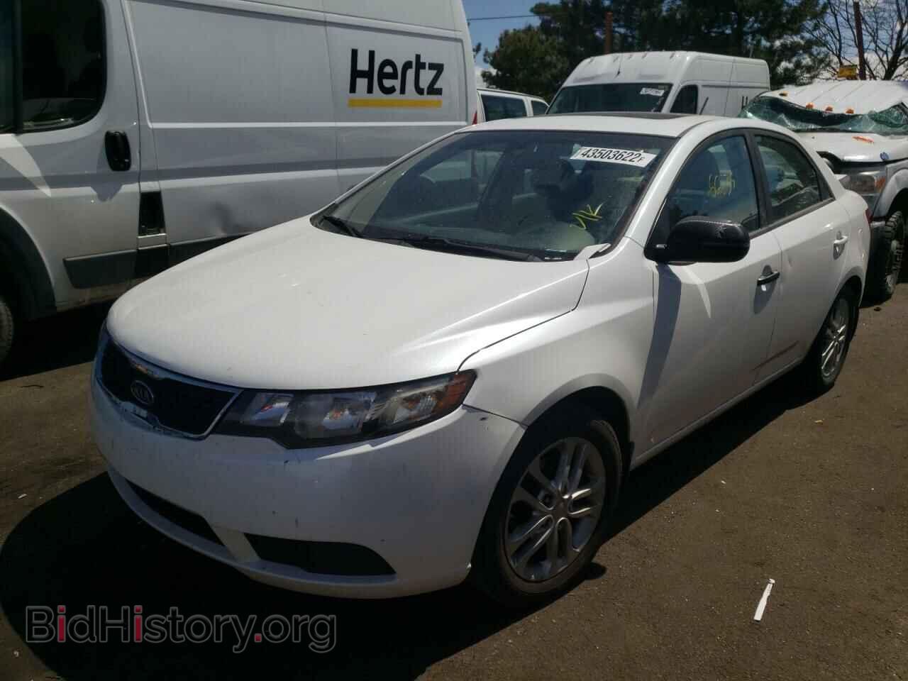 2012 KIA FORTE - VIN: KNAFU4A24C5592500 - Фото 2