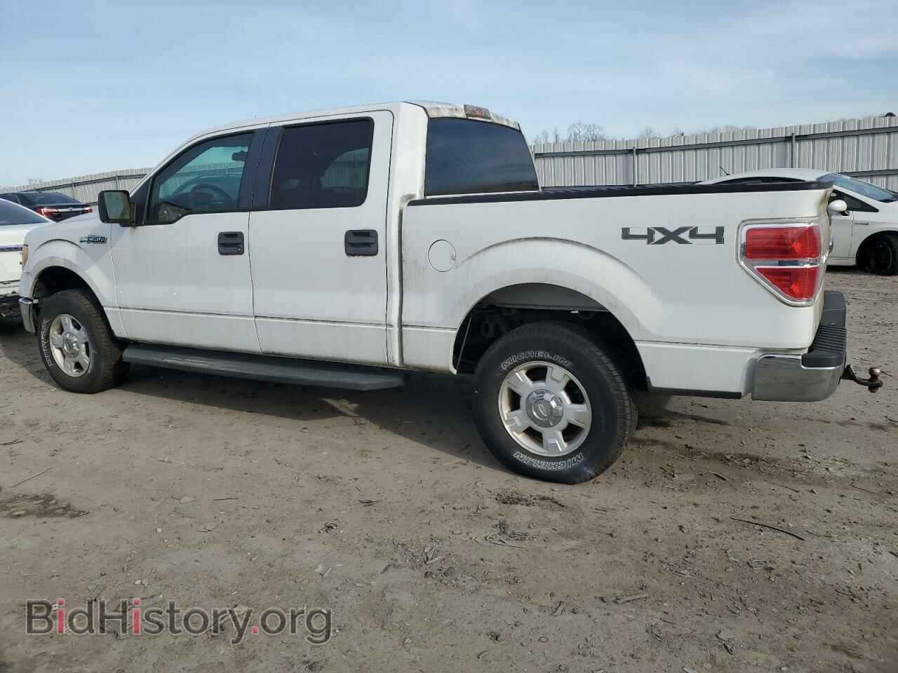 2010 FORD F-150 - VIN: 1FTEW1E83AFD40315 - Фото 2