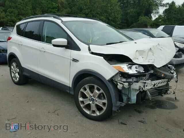 Фотография 1FMCU0GX1DUA16075 - FORD ESCAPE 2013