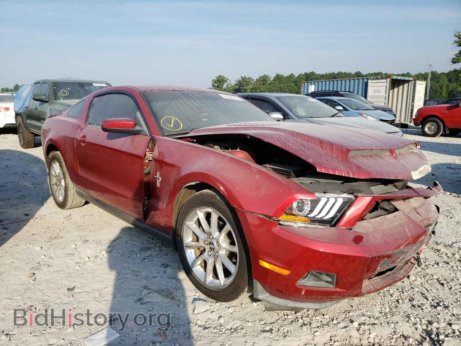 Фотография 1ZVBP8AN2A5170715 - FORD MUSTANG 2010