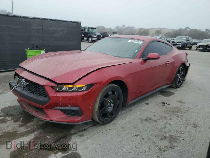 2024 Ford ALL MODELS (VIN 1FA6P8TH4R5140905) — photo 1 of 13, Copart, damage: front end