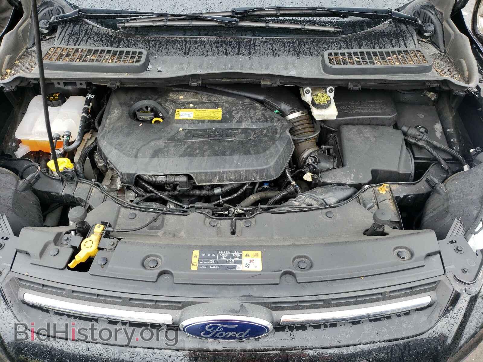 2014 FORD ESCAPE - VIN: 1FMCU0GX4EUA58953 - Фото 7