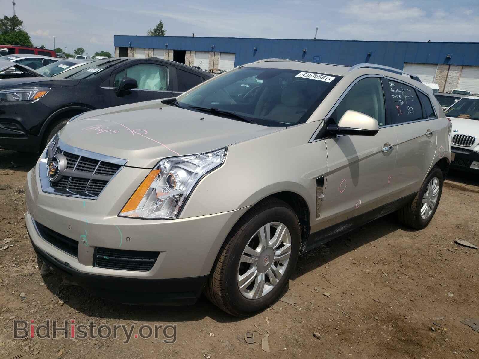 2011 CADILLAC SRX - VIN: 3GYFNAEY9BS534183 - Фото 2