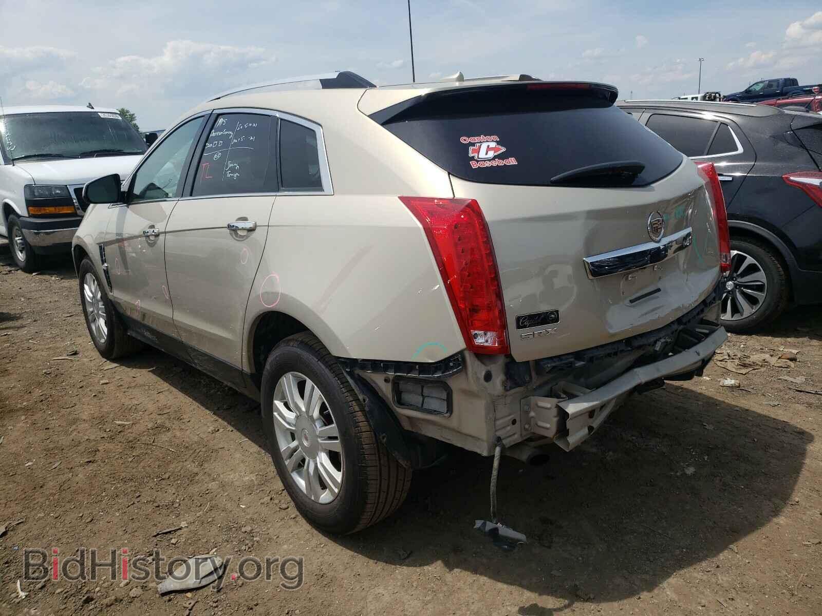 2011 CADILLAC SRX - VIN: 3GYFNAEY9BS534183 - Фото 3