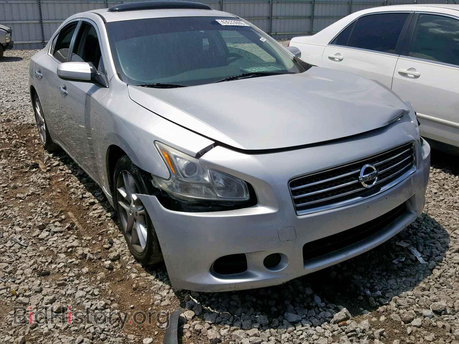 Фотография 1N4AA5AP5AC819280 - NISSAN MAXIMA S 2010