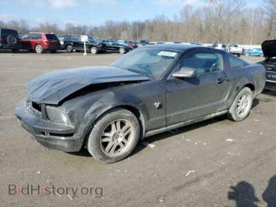 2009 Ford ALL MODELS, black — VIN 1ZVHT80N795104132, Copart