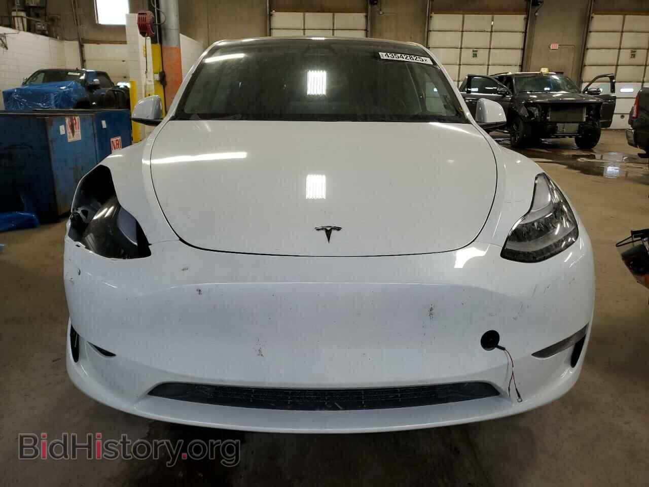 2024 TESLA MODEL Y - VIN: 7SAYGDEE5RF191281 - Photo 5