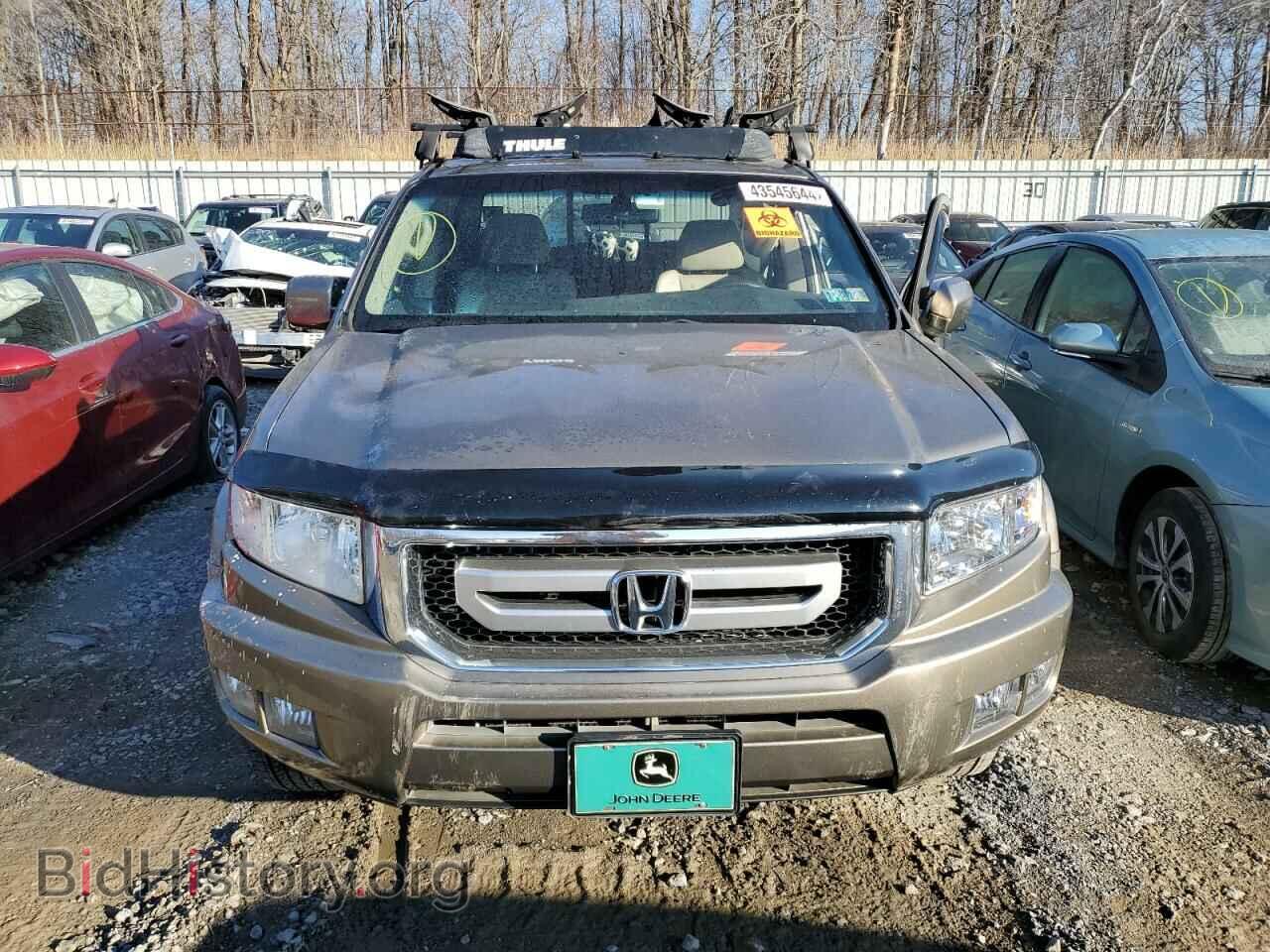 2011 HONDA RIDGELINE - VIN: 5FPYK1F59BB008714 - Фото 5