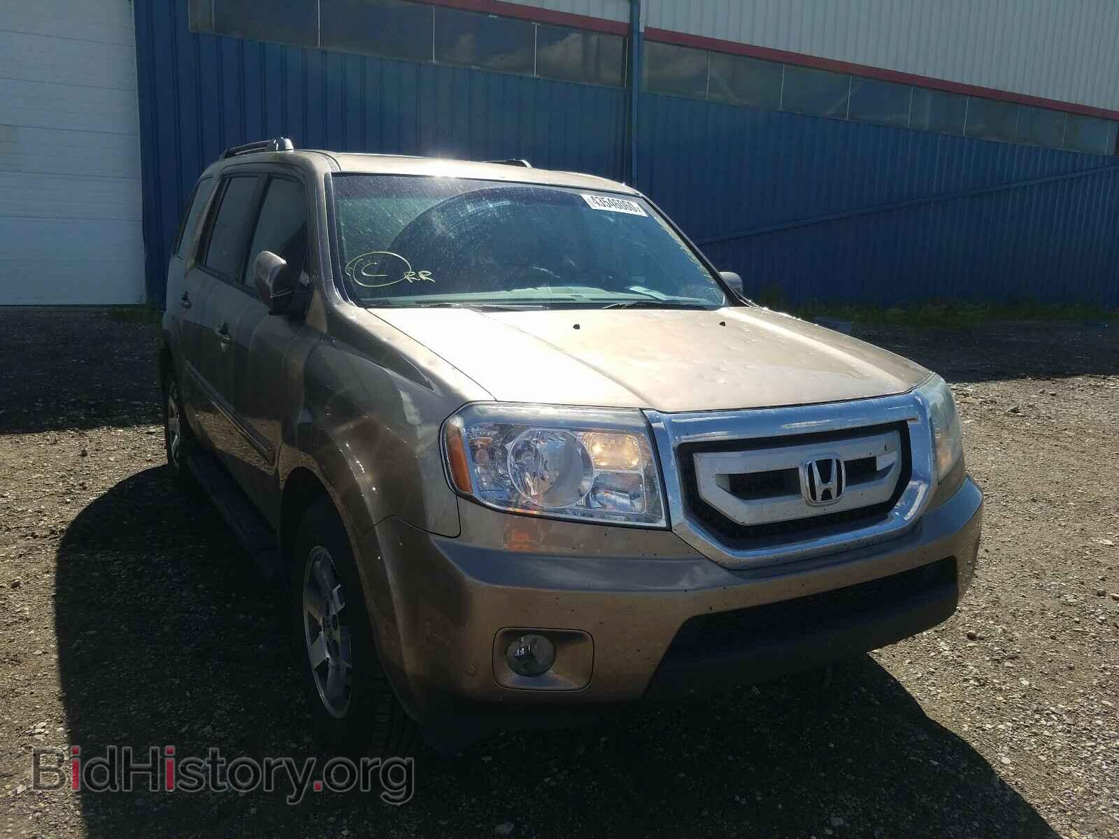 Photo 5FNYF4H91AB504152 - HONDA PILOT 2010