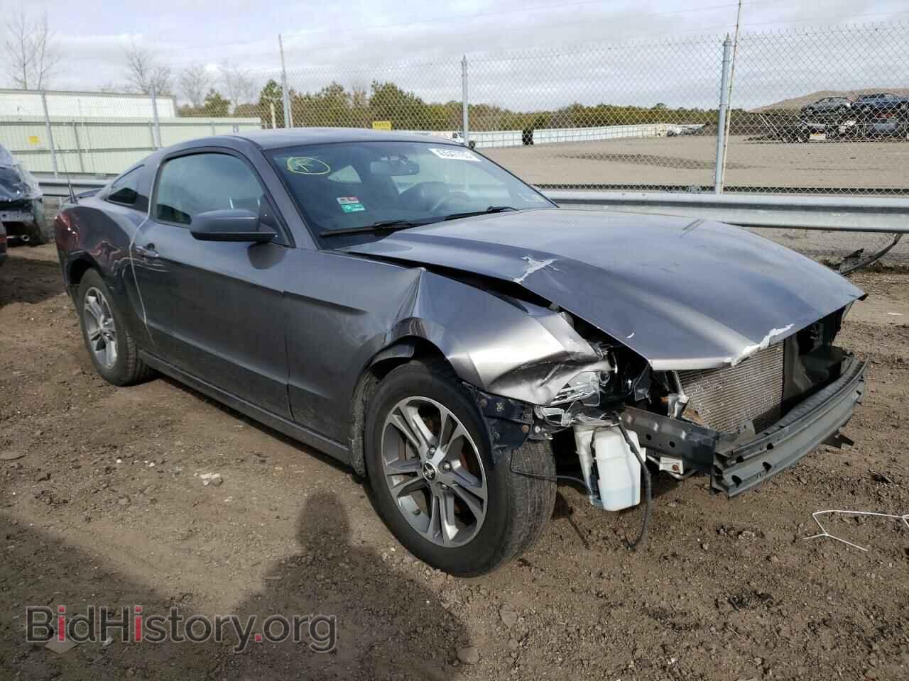 2013 FORD MUSTANG - VIN: 1ZVBP8AMXD5260464 - Фото 4