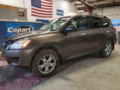 2012 Toyota RAV4, коричневый — VIN 2T3BF4DV4CW204014, Copart