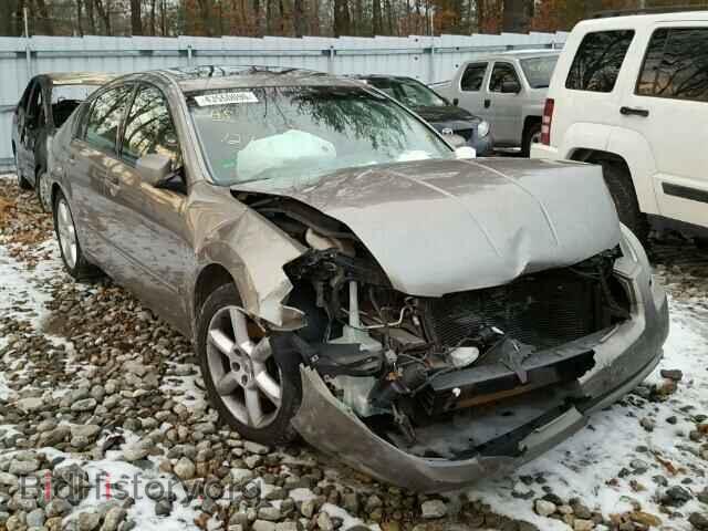 Photo 1N4BA41E46C832722 - NISSAN MAXIMA 2006