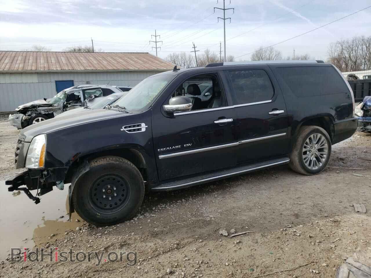 Photo 1GYUKHEFXAR147988 - CADILLAC ESCALADE 2010