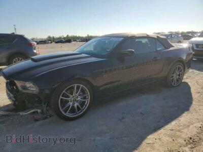2014 Ford ALL MODELS, black — VIN 1ZVBP8EMXE5245846, Copart