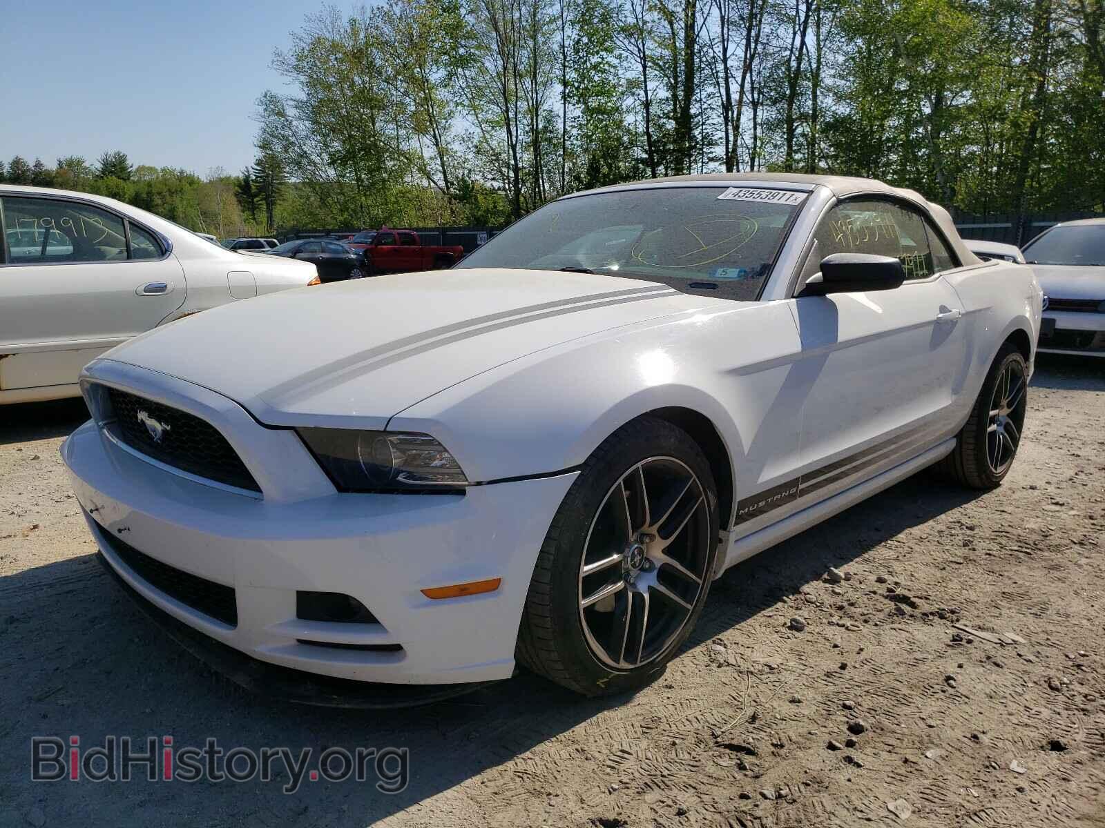 2014 FORD MUSTANG - VIN: 1ZVBP8EM1E5255133 - Фото 2