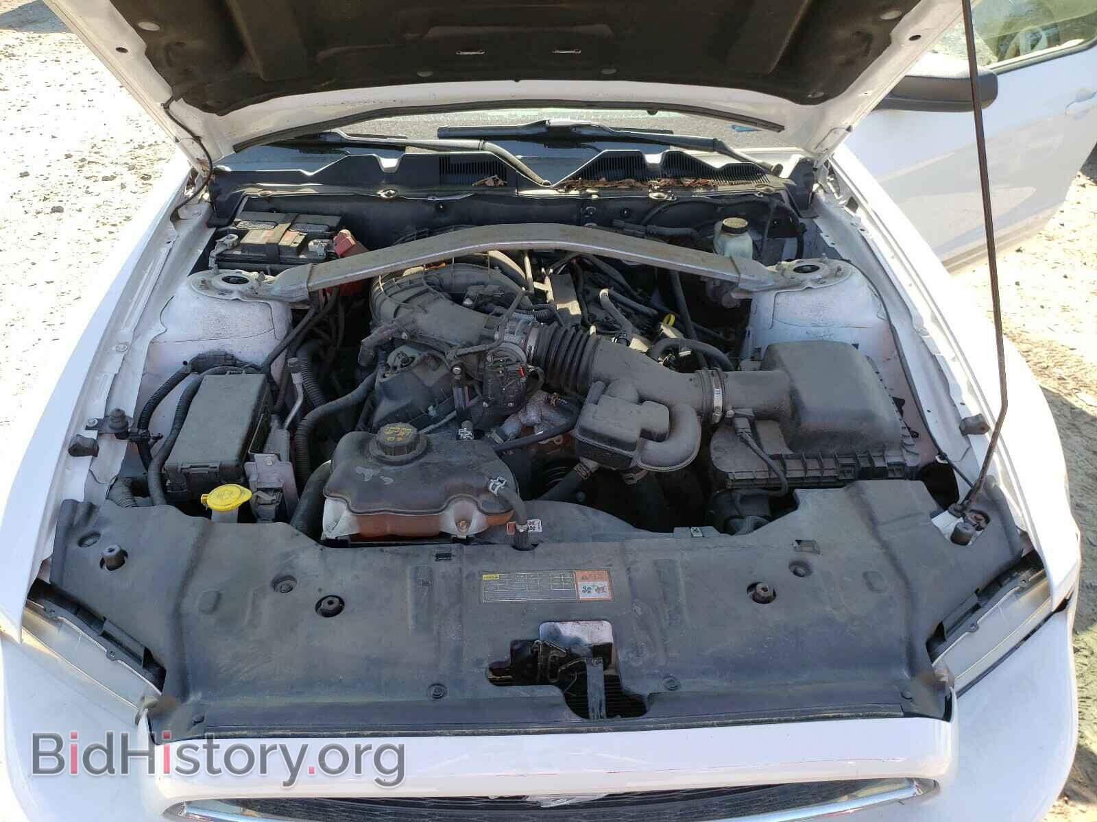 2014 FORD MUSTANG - VIN: 1ZVBP8EM1E5255133 - Фото 7