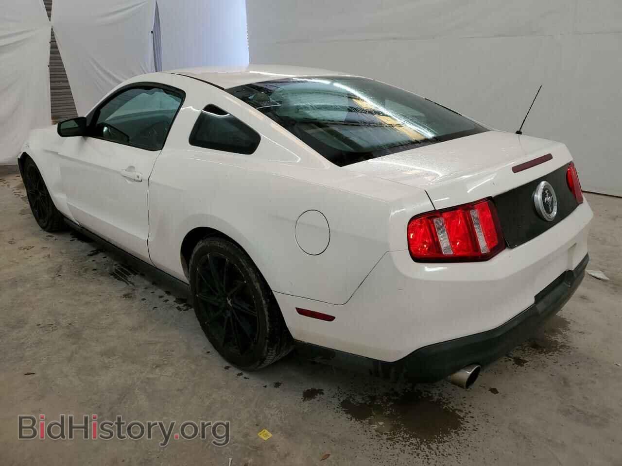 2010 FORD ALL Models - VIN: 1ZVBP8AN9A5105487 - Фото 2