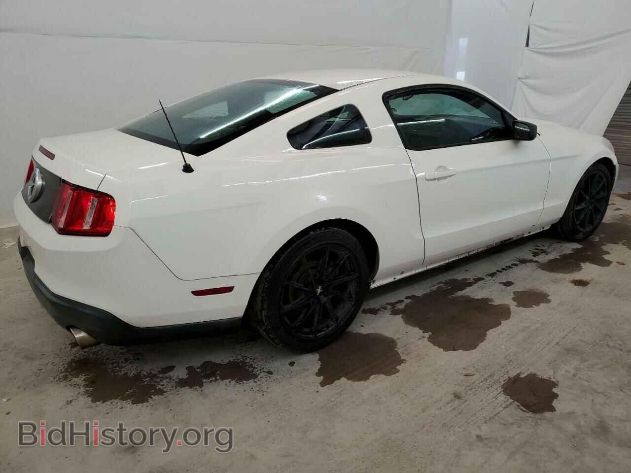 2010 FORD ALL Models - VIN: 1ZVBP8AN9A5105487 - Фото 3