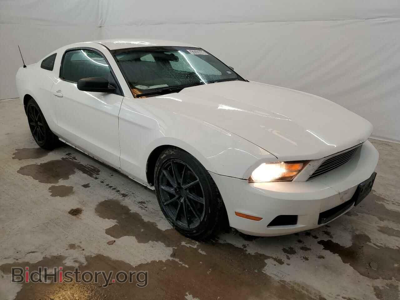 2010 FORD ALL Models - VIN: 1ZVBP8AN9A5105487 - Фото 4