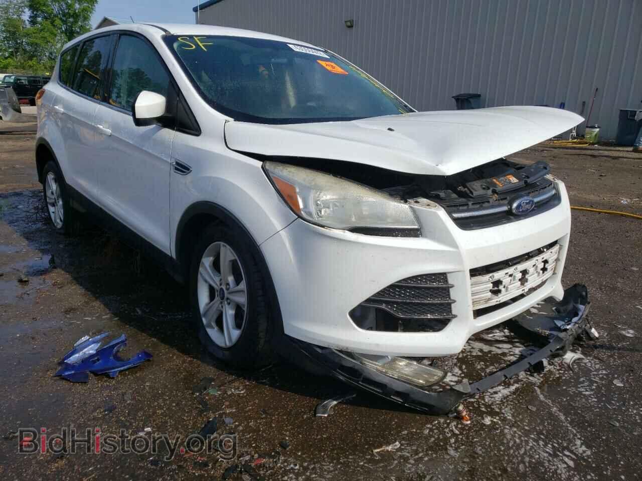 Фотография 1FMCU0GX2DUC80017 - FORD ESCAPE 2013