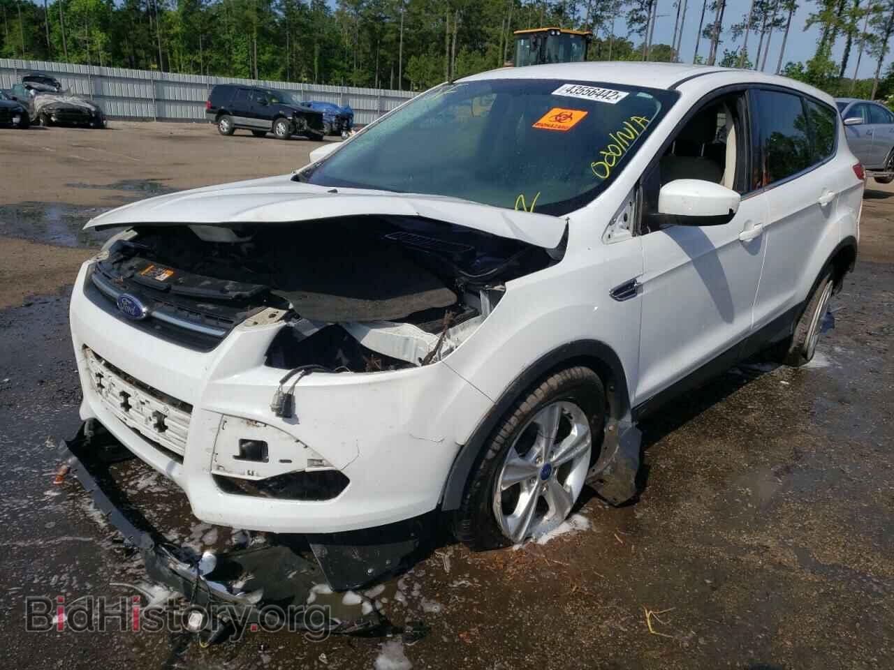 2013 FORD ESCAPE - VIN: 1FMCU0GX2DUC80017 - Фото 2