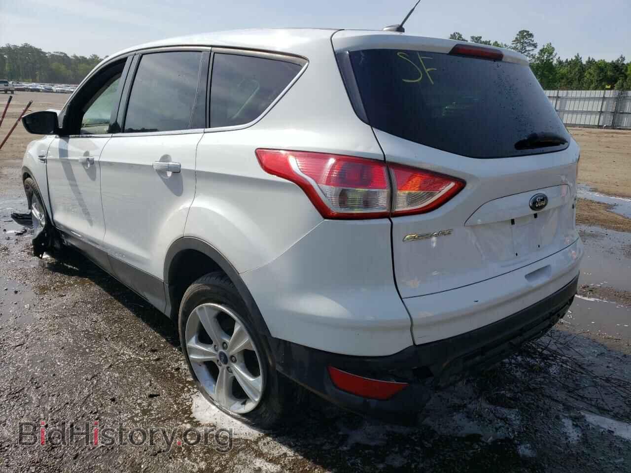 2013 FORD ESCAPE - VIN: 1FMCU0GX2DUC80017 - Фото 3