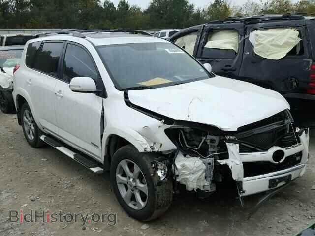 Фотография 2T3YK4DV5CW014731 - TOYOTA RAV4 2012