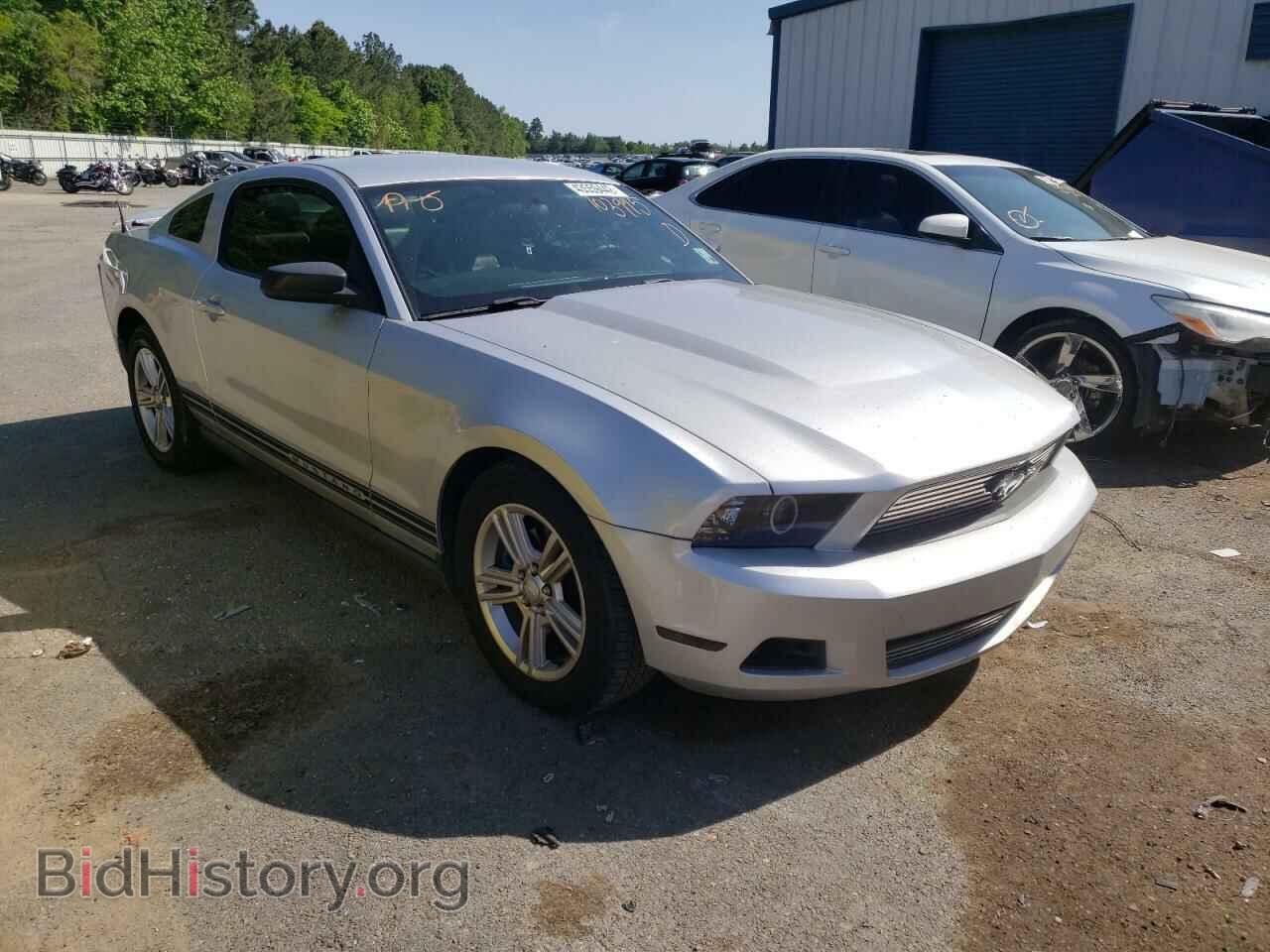 Photo 1ZVBP8AM6B5103995 - FORD MUSTANG 2011