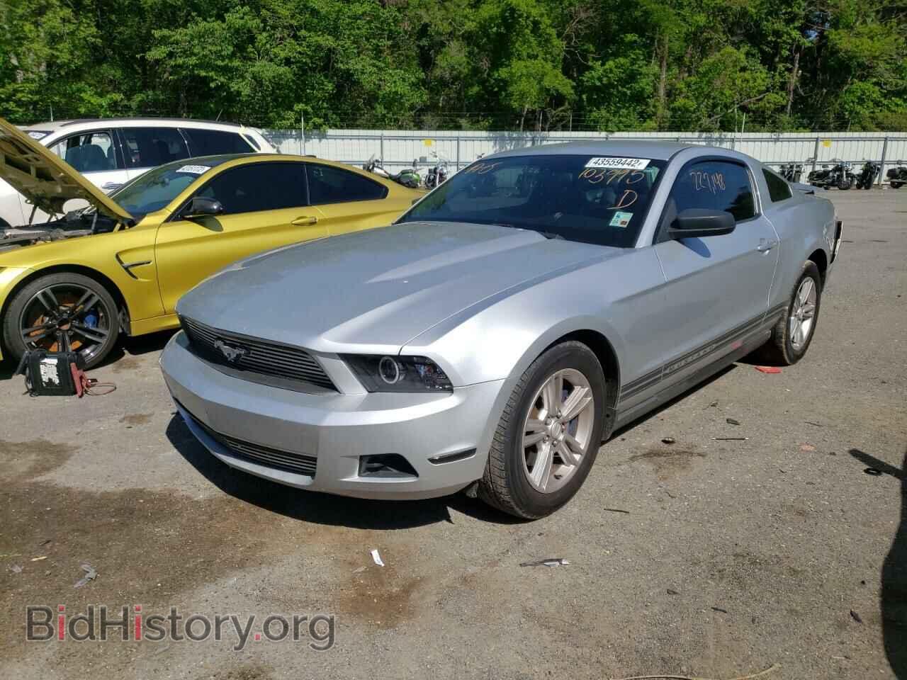 2011 FORD MUSTANG - VIN: 1ZVBP8AM6B5103995 - Фото 2