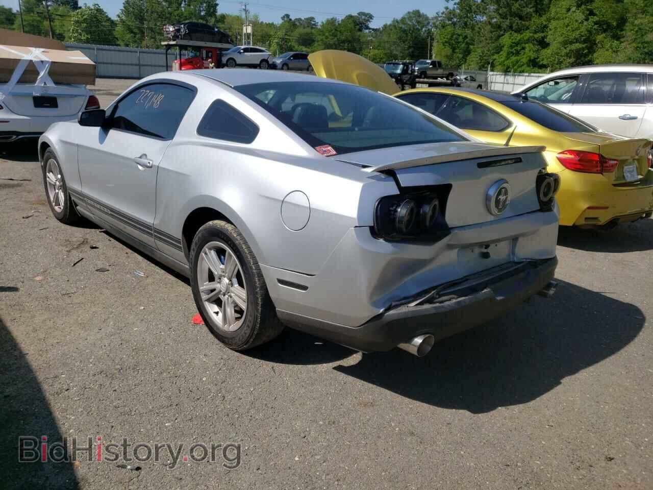 2011 FORD MUSTANG - VIN: 1ZVBP8AM6B5103995 - Фото 3